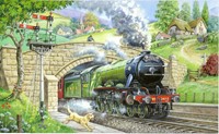 House of Puzzles Train Spotting BIG 250 Puzzle