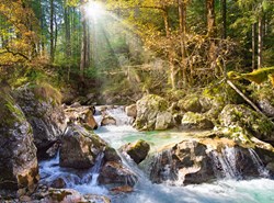 Castorland Puzzle Landschaft Der Waldbach - 2000 Teile