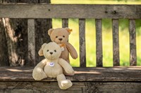 Steiff Teddybär Mila Plüsch Kuscheltier beige 30 cm - weiches Spielzeug-3