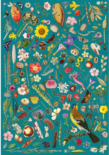 Gibsons RHS : Floral Fantasy - 500 Teile