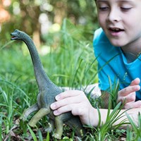 Schleich Dinosaurier - Brachiosaurus 14581 - Spielfigur für Kinder-3