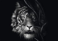 Schmidt Spiele Wilderness - Tiger : In the Sign of Freedom -  Teile