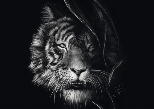 Schmidt Spiele Wilderness - Tiger : In the Sign of Freedom -  Teile