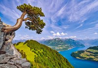 Castorland Blick auf den Urnersee, Schweiz - 1000 Teile