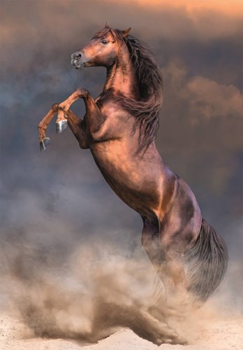 Clementoni Legpuzzel Wild Red Stallion, 500st.
